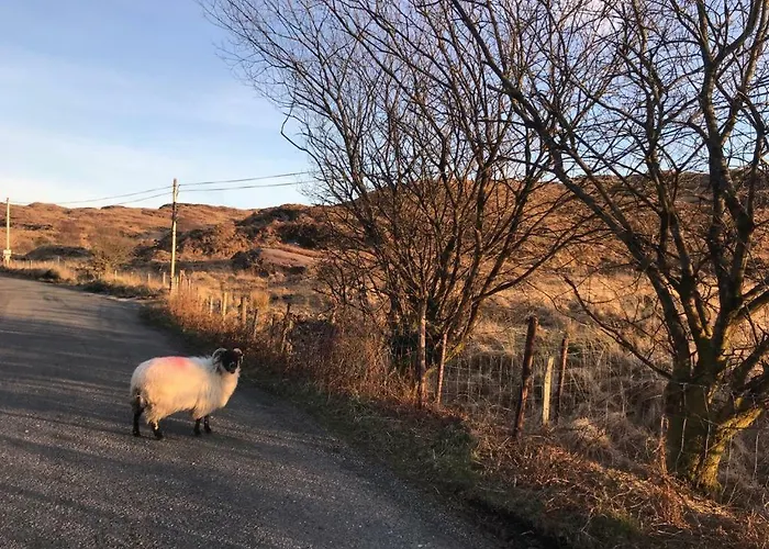 Villa Beechwood 4, Kenmare Luxurious Living